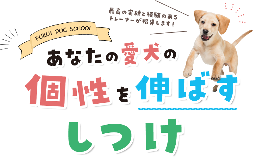 FUKUI DOG SCHOOL あなたの愛犬の個性を伸ばすしつけ 最高の実績と経験のあるトレーナーが指導します